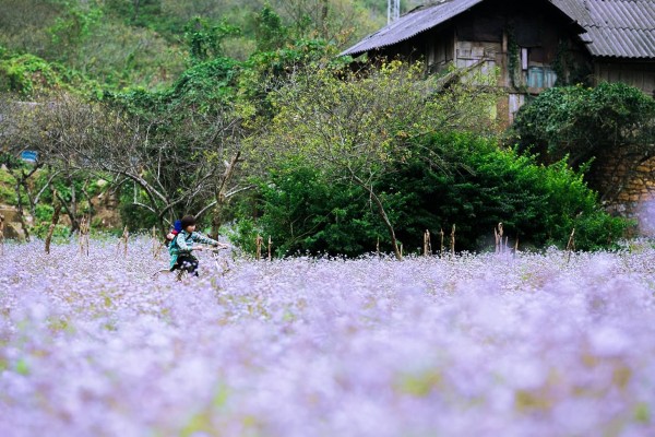 Săn mây Hang Kia