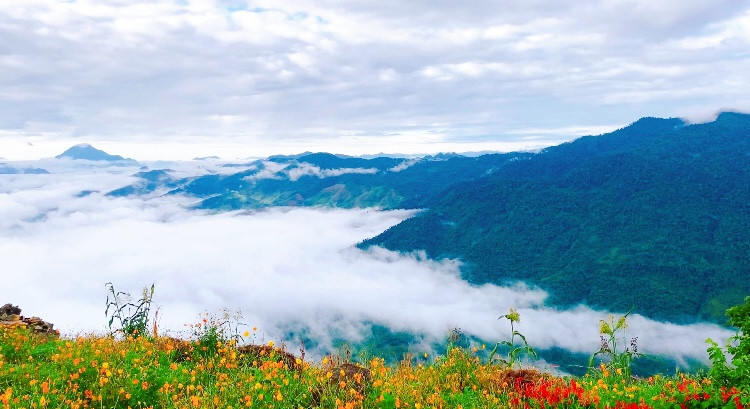 săn mây hang kia